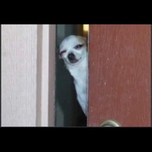 Meet your Posher, Derian